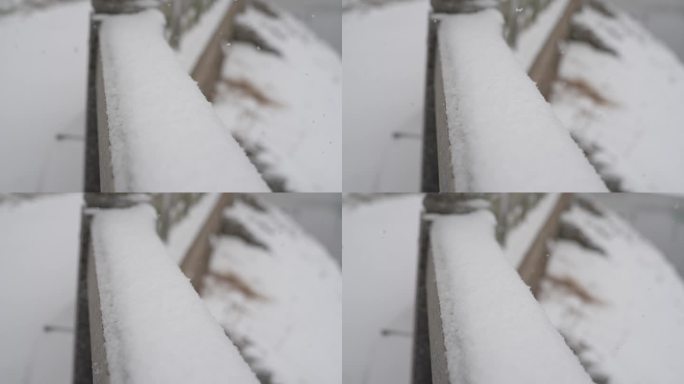 冬天下雪雪景小雪中雪大雪雪花飘落舞台背景