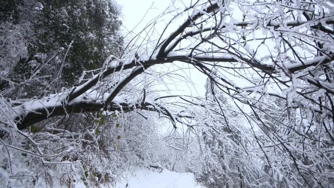 雾凇雪景 航拍