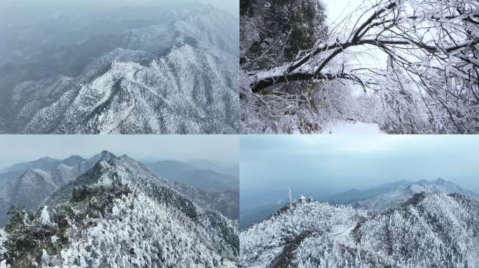 雾凇雪景 航拍