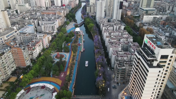 昆明盘龙江河道蓝花楹航拍视频