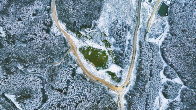 重庆武隆仙女山森林自然雪景商用宣传片