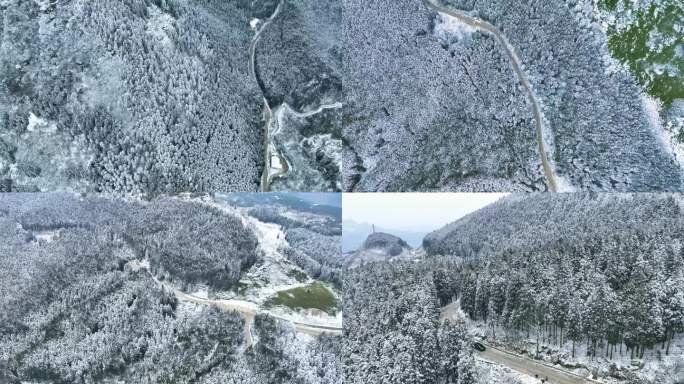 重庆武隆仙女山森林自然雪景商用宣传片