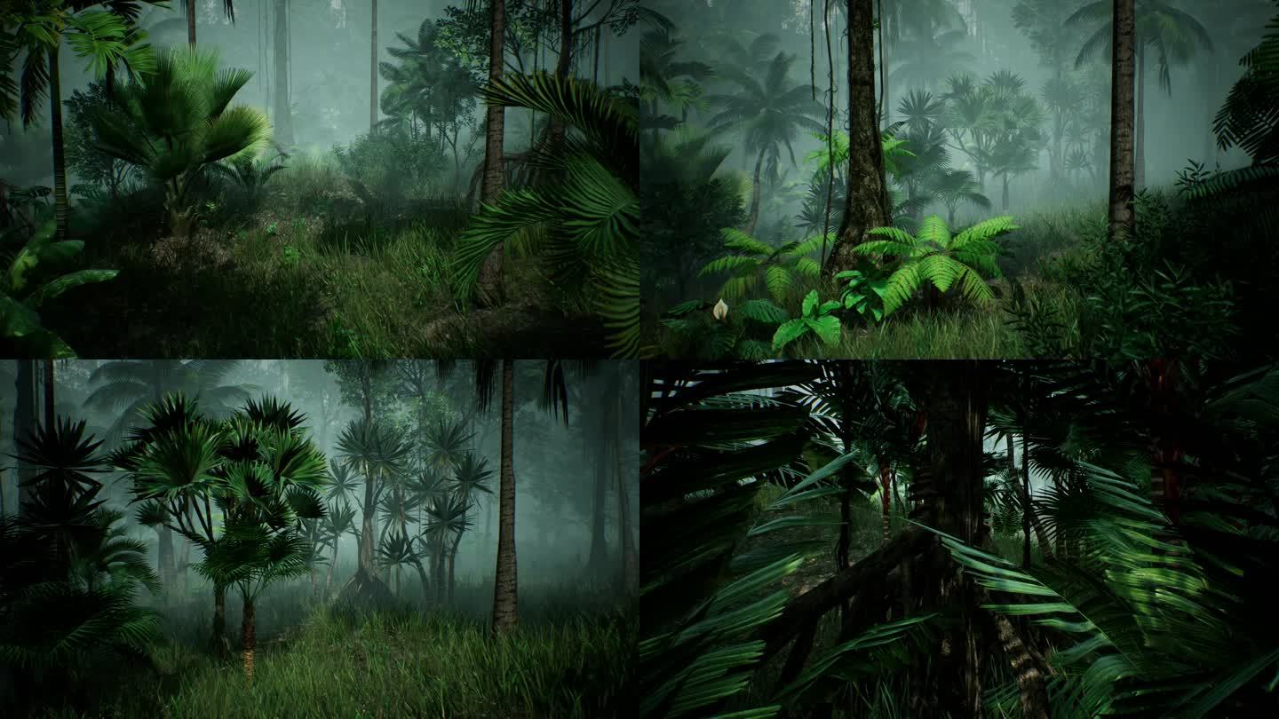 热带雨林 漫游 雾气 阴天