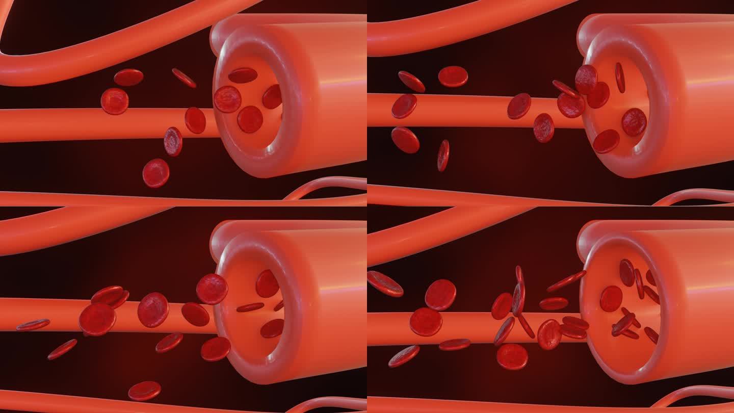 血管舒张的三维动画是血管放松和扩张的动画