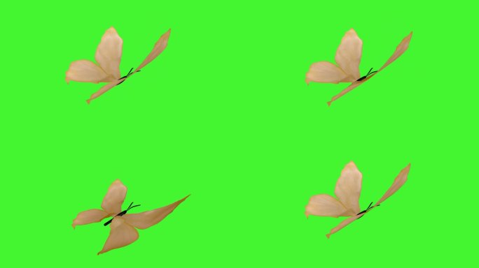抽象的蝴蝶飞翔，在绿色的屏幕上扇动着翅膀。蝴蝶有五彩斑斓的翅膀。3D循环动画