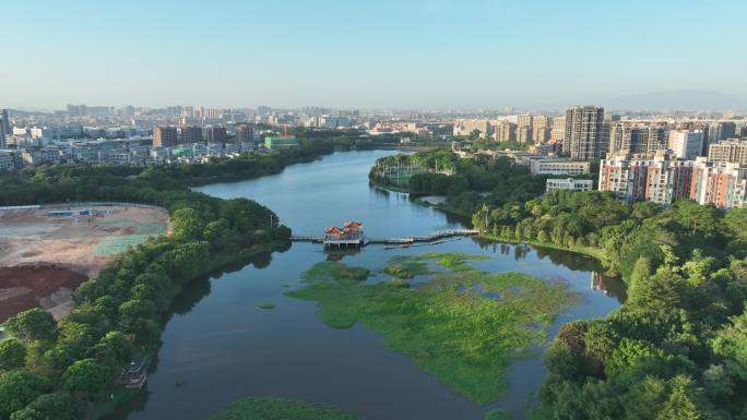 月荷湖航拍湿地公园东莞松山湖区生态景观