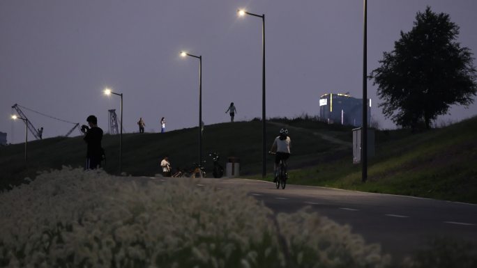 天府绿道 夜骑 骑自行车 路灯 湖边 桥