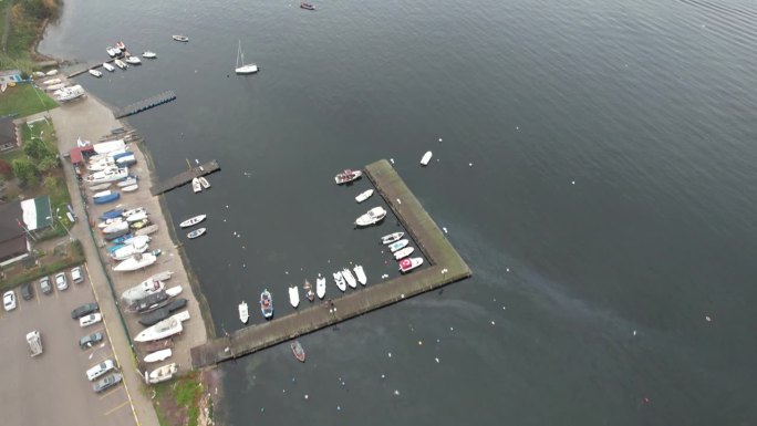 空中的海鸥会飞