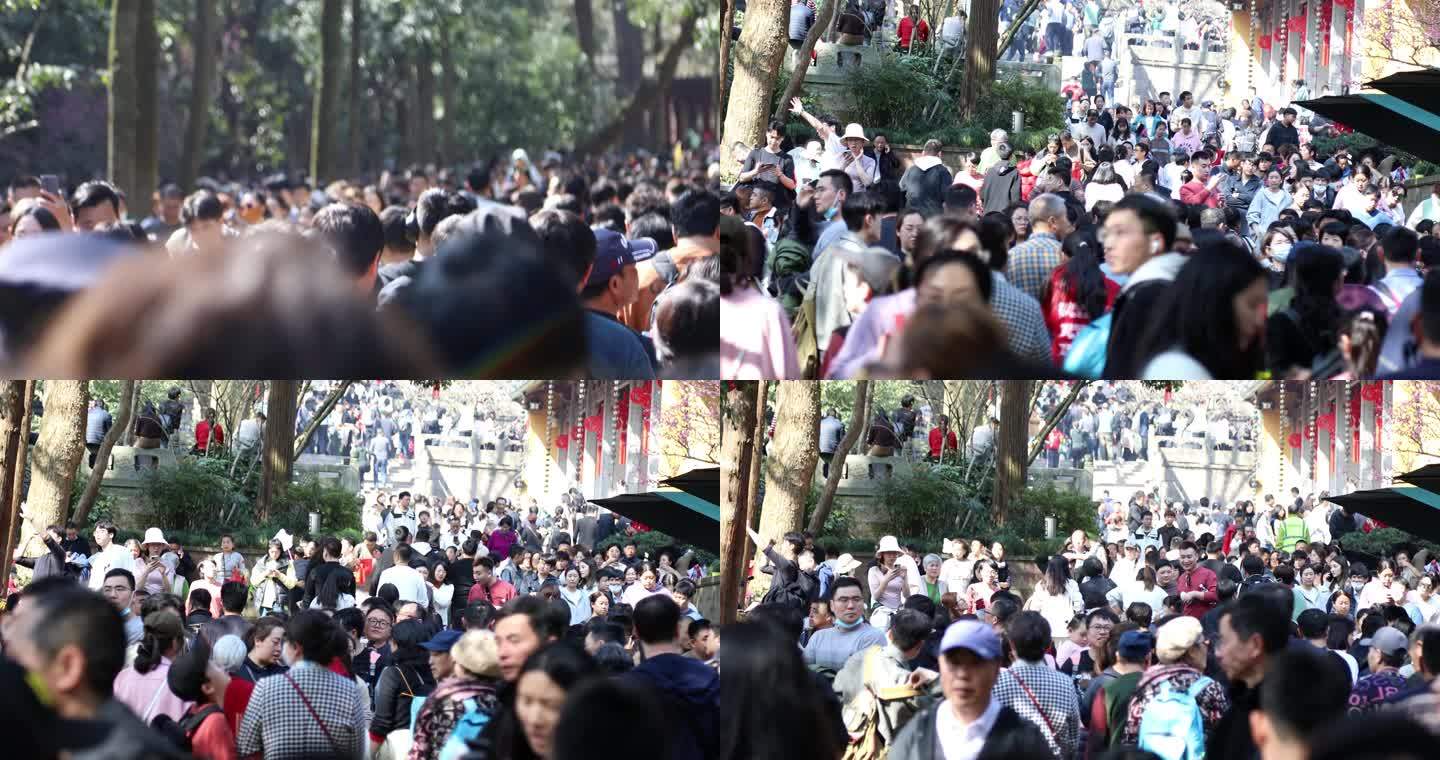 杭州城市人群人流4K超清