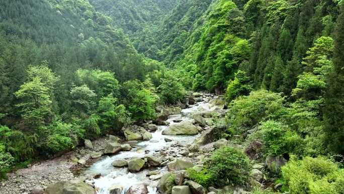 4K雅安茶马古道周公桥 川茶素材