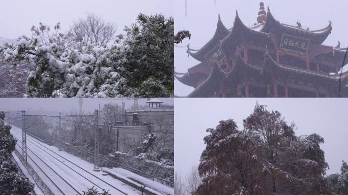 4K实拍6个下雪的空镜画面