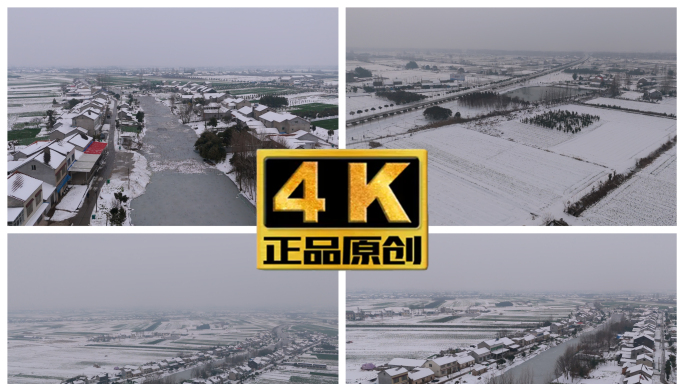 冬季农村雪景 荆州大雪 雪后乡村美景