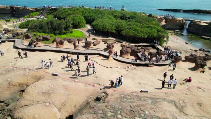 台湾北部海岸线野柳地质公园女王头