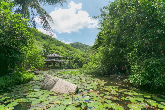 三亚景区热带天堂森林公园