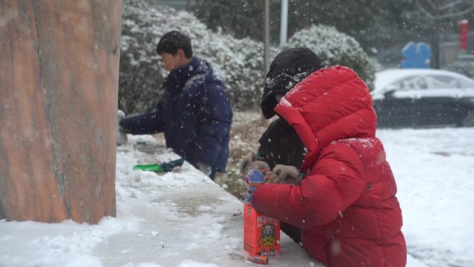 冬天下雪雪景小雪中雪大雪雪花飘落舞台背景