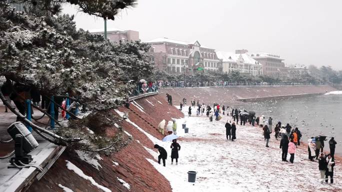 升格雪中的青岛栈桥喂海鸥