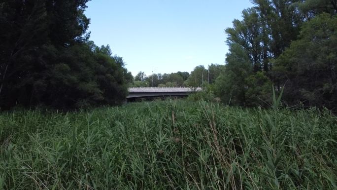 城市风景街景旅拍绿色小溪田野乡村郊外