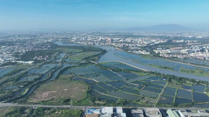 广东省东莞市寮步镇航拍城镇建筑田园风光