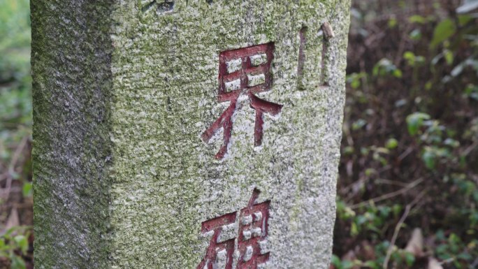 深圳红树林自然保护区界碑