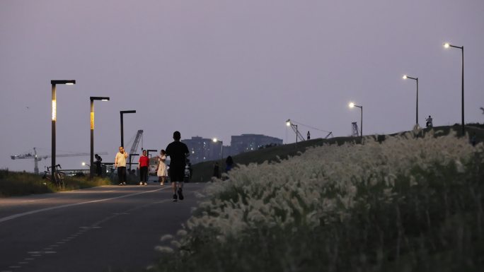 天府绿道 夜骑 骑自行车 路灯 湖边 桥