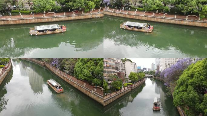 昆明盘龙江河道蓝花楹航拍视频