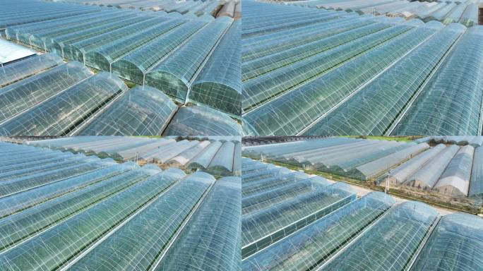 航拍江西省吉安市绿色农业蔬菜大棚基地