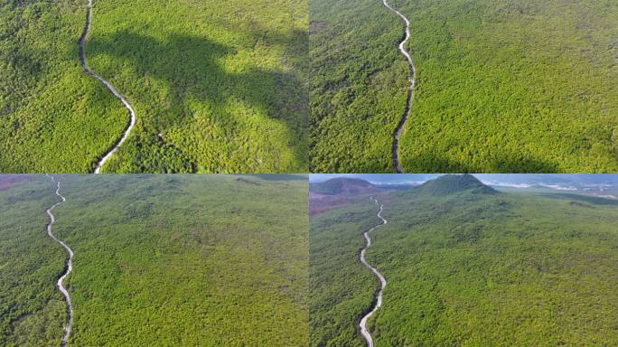 腾冲火山森林公路