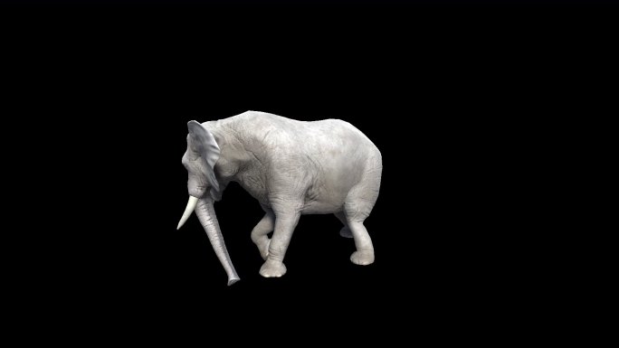 大象动画源文件
