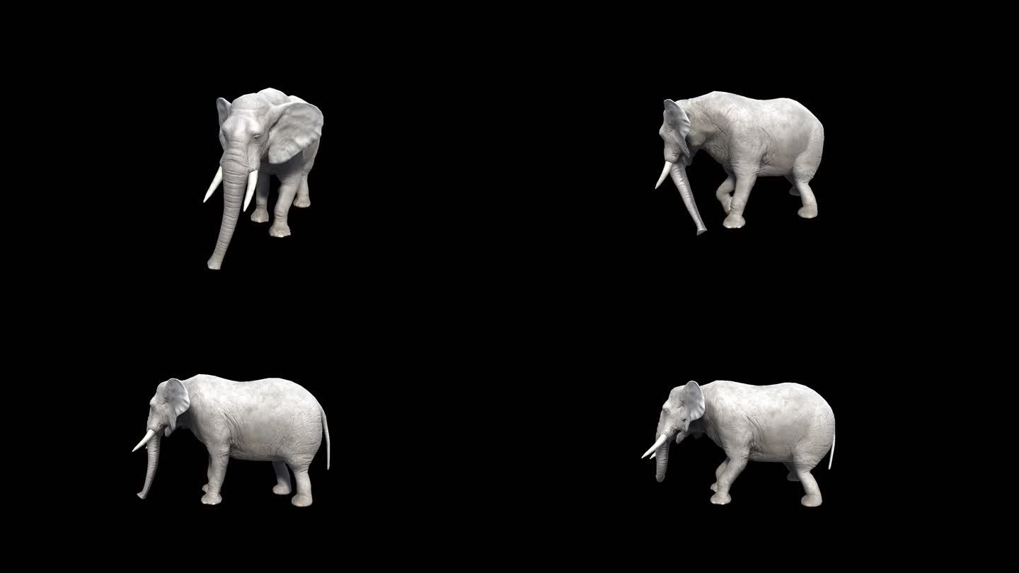 大象动画源文件