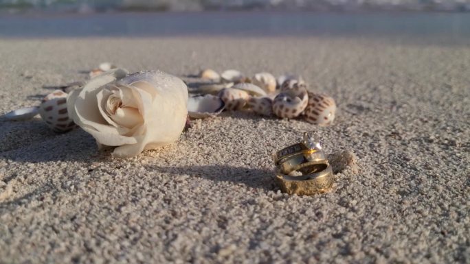 特写白玫瑰花，贝壳和戒指婚礼沙滩，大海的背景