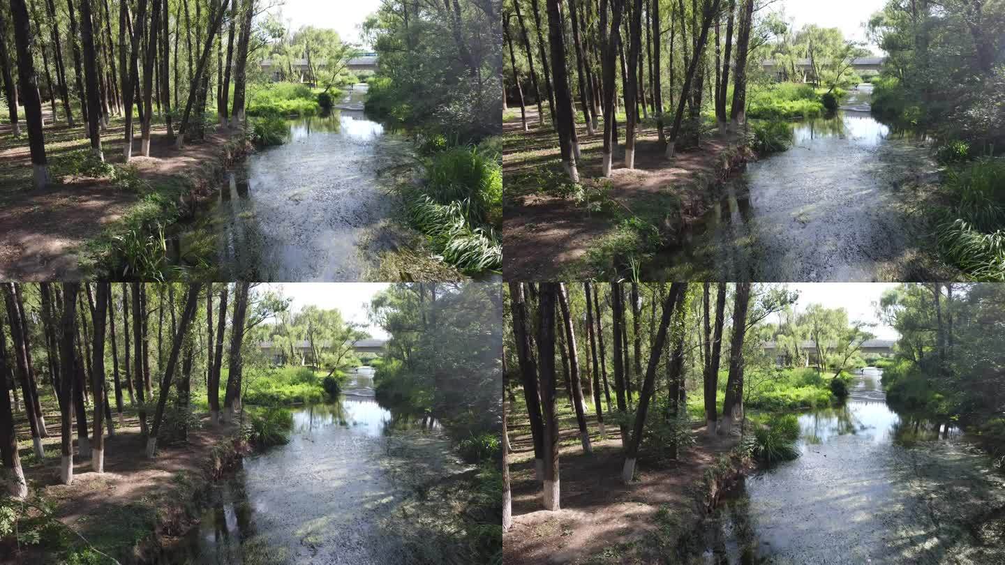 旅拍绿色山水小溪田野乡村郊外