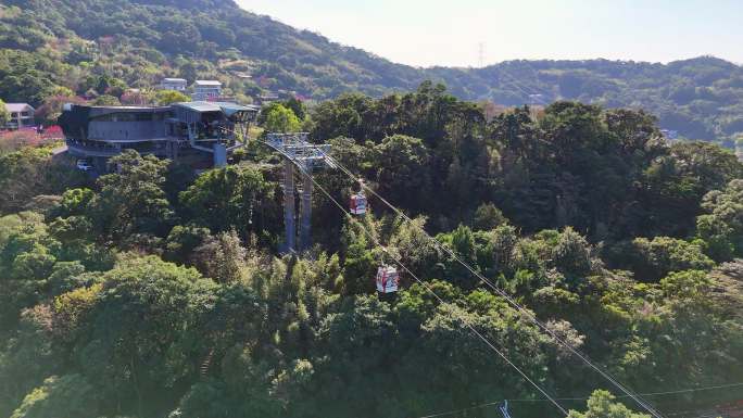 台北市猫空缆车动物园文山区包种茶发源地