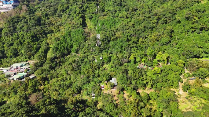 台北市猫空缆车动物园文山区包种茶发源地