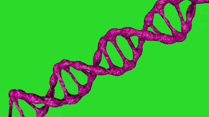绿色背景上的粉色DNA分子动画。生物技术、生物化学、遗传学和医学概念。DNA链。3 d动画。