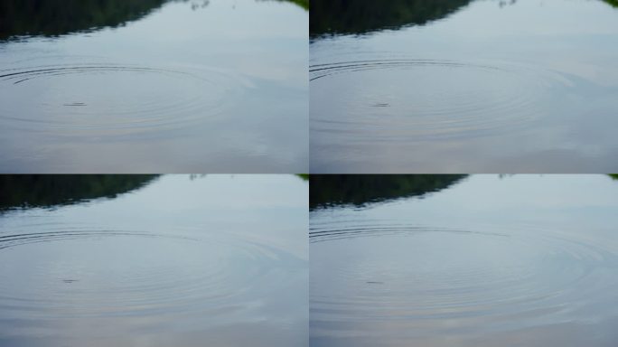 平静的湖面一个水波纹