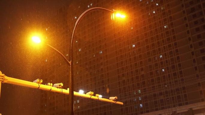 冬天 城市雪天 夜景  唯美雪景