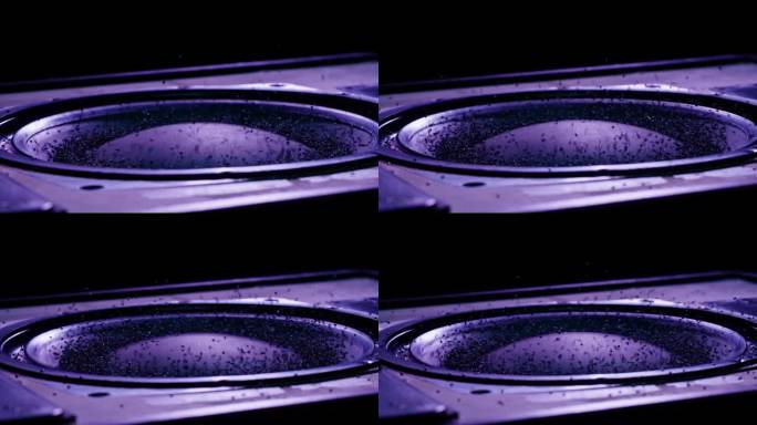 声学音响系统特写，飞香料。大声的音乐音量微距拍摄。专业迪斯科演播室设备低音炮。立体声系统的音乐重放、
