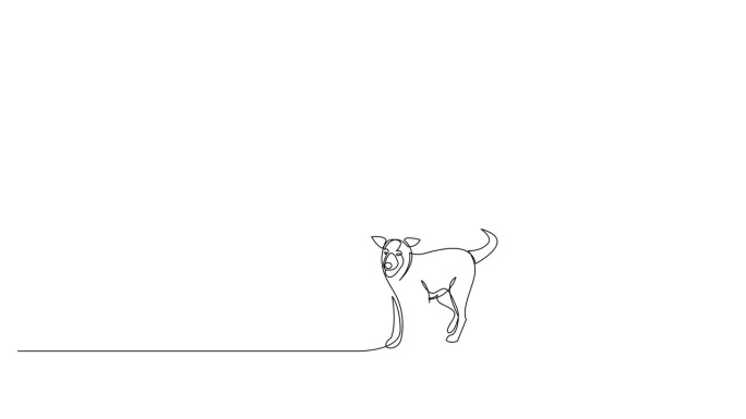 自绘制动画连续线的女人走在一条狗上的皮带。动画一行艺术。