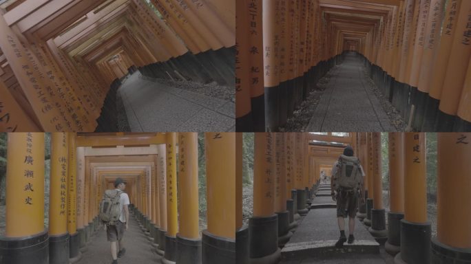 4k log 日本 神社  京都