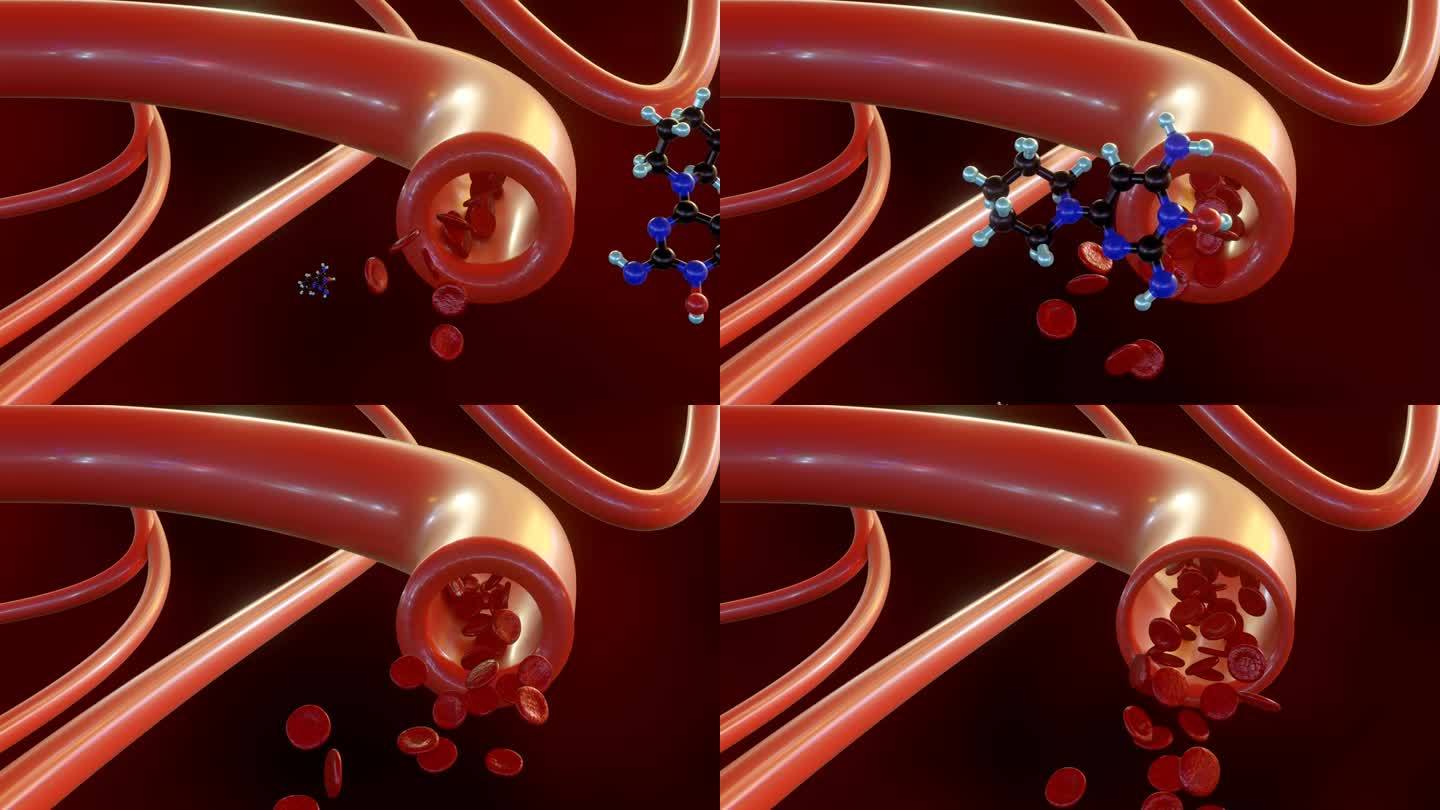 米诺地尔分子的三维动画直接影响血管。