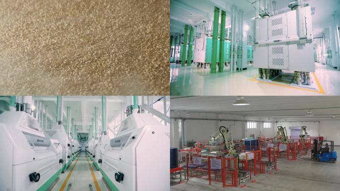 面粉生产 生产线 面粉厂