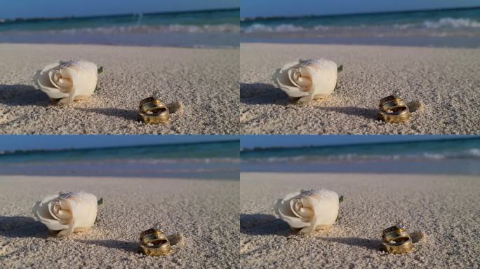 沙滩上的白玫瑰花和结婚戒指，婚礼沙滩概念