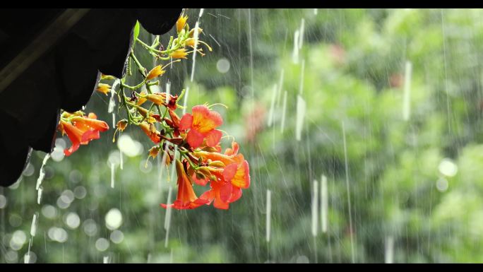 绍兴书圣故里雨中江南