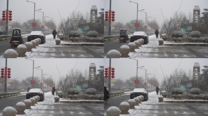 冬天下雪雪景小雪中雪大雪雪花飘落舞台背景