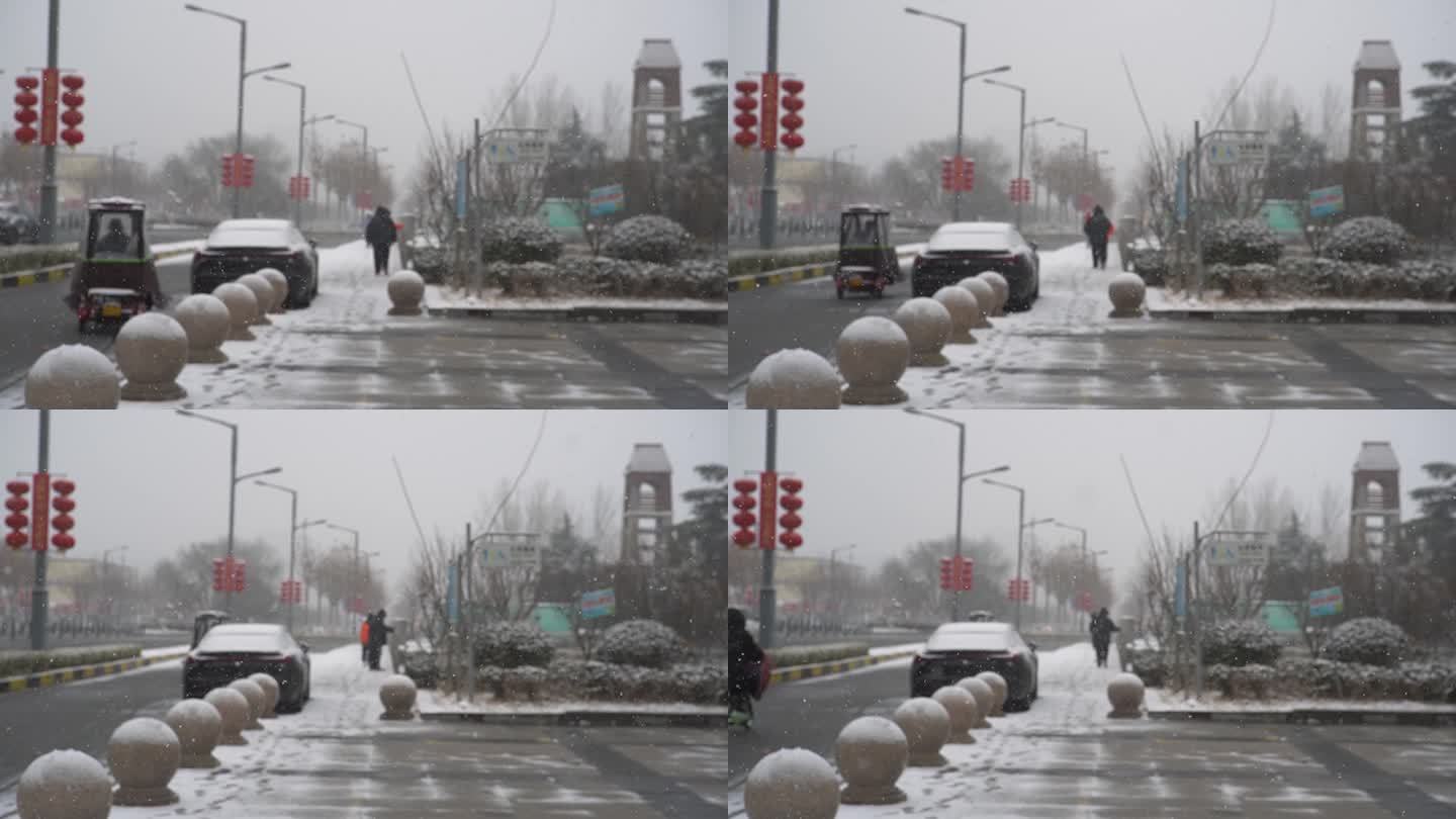 冬天下雪雪景小雪中雪大雪雪花飘落舞台背景