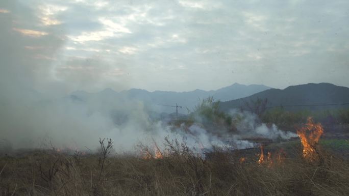 4k高清素材 实拍农村秸秆焚烧污染环境