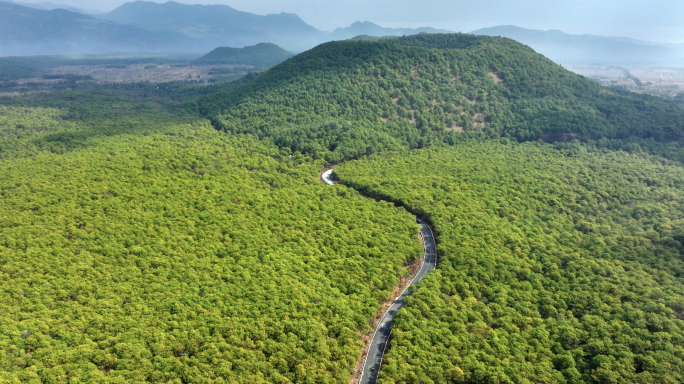 腾冲火山公园森林公路合集