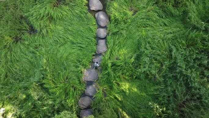 城市风景街景旅拍绿色小溪田野乡村郊外