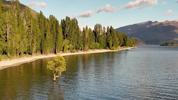 航拍新西兰瓦纳卡湖畔小树环绕风光