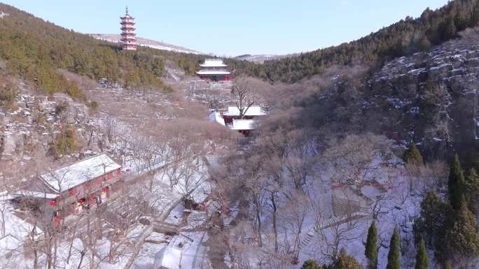 航拍枣庄青檀冬雪